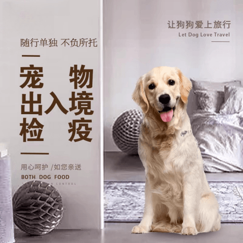 贺州市宠物托运到哥伦比亚猫狗宠物入境规定和