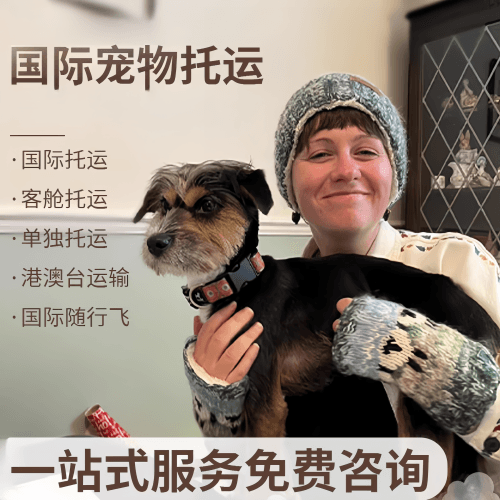 贺州市国际宠物托运到阿根廷宠物入境规定和要
