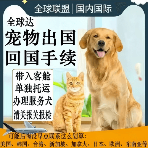 贺州市宠物托运到柬埔寨宠物入境规定和要求