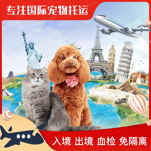 贺州市宠物托运到美国宠物入境最新规定和要求