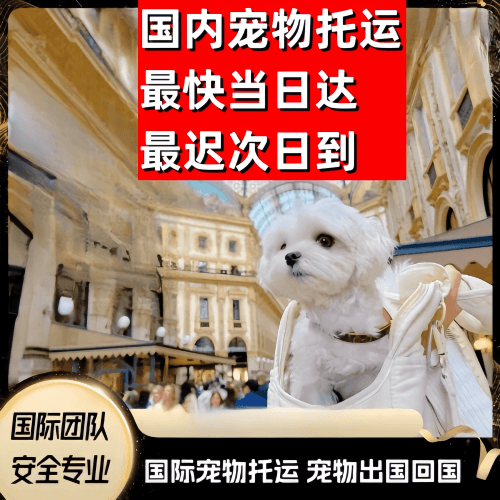 贺州市到澳大利亚（澳洲）宠物入境规定和要求