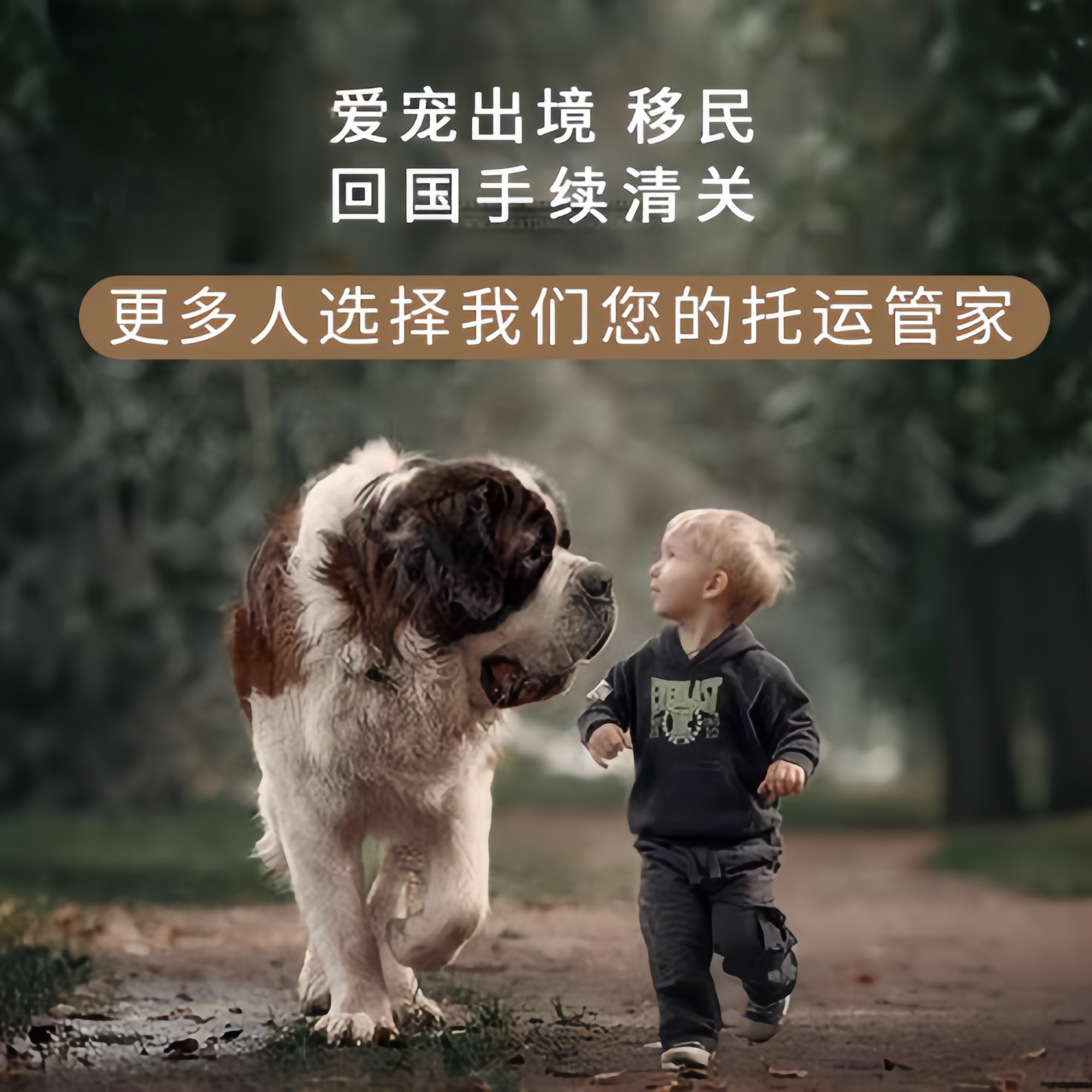 满财贺州市宠物全球达宠物托运在遵守入境目的地政策的条件