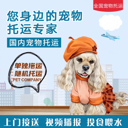 满财贺州市宠物全球达宠物托运作为专业的宠物运输代理机构